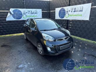 Salvage car Kia Picanto Picanto (TA), Hatchback, 2011 / 2017 1.0 12V 2011/9