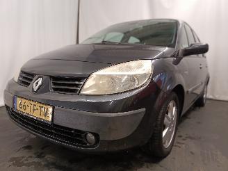 Uttjänta bilar auto Renault Scenic Grand Scénic II (JM) MPV 2.0 16V (F4R-770(Euro 4)) [99kW]  (04-2004/=
06-2009) 2006/8