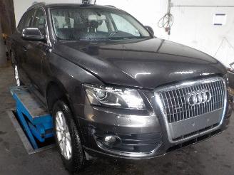 Audi Q5 Q5 (8RB/RX) SUV 2.0 TDI 16V (CJCA) [105kW]  (11-2010/...) picture 2