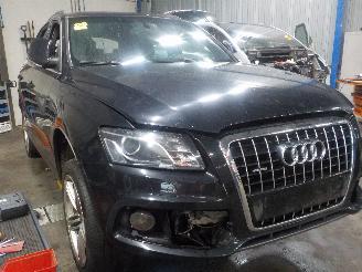Audi Q5 Q5 (8RB) SUV 3.0 TDI V6 24V Quattro (CPNB) [176kW]  (11-2008/05-2017) picture 2