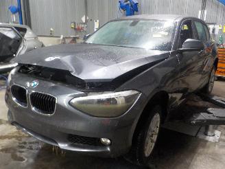 BMW 1-serie 1 serie (F20) Hatchback 5-drs 120i 1.6 16V (N13-B16A) [125kW]  (07-201=
1/02-2015) picture 1