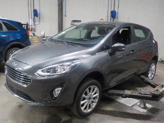 Ford Fiesta Fiesta 7 Hatchback 1.0 EcoBoost 12V 100 (SFJK) [74kW]  (05-2017/07-202=
3) picture 1