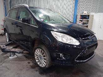 Ford Grand C-Max Grand C-Max (DXA) MPV 1.0 Ti-VCT EcoBoost 12V 125 (M1DA(Euro 5)) [92kW=
]  (10-2012/06-2019) picture 2