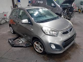 Kia Picanto Picanto (TA) Hatchback 1.0 12V (G3LA) [51kW]  (05-2011/06-2017) picture 2