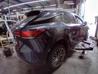 Lexus RX RX (LA1/LH1) SUV 450h+ E-Four (A25B-FXS) [227kW]  (12-2022/...) picture 3