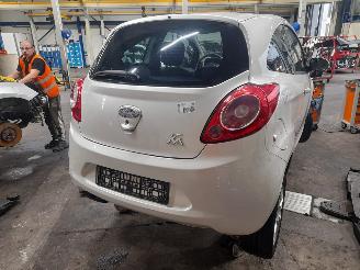 Ford Ka Ka II Hatchback 1.2 (169.A.4000(Euro 4; Euro 5)) [51kW]  (10-2008/05-2=
016) picture 3