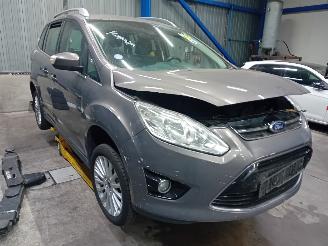 Ford Grand C-Max Grand C-Max (DXA) MPV 1.0 Ti-VCT EcoBoost 12V 125 (M1DA(Euro 5)) [92kW=
]  (10-2012/06-2019) picture 2