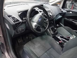 Ford Grand C-Max Grand C-Max (DXA) MPV 1.0 Ti-VCT EcoBoost 12V 125 (M1DA(Euro 5)) [92kW=
]  (10-2012/06-2019) picture 5