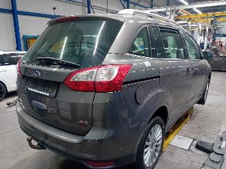 Ford Grand C-Max Grand C-Max (DXA) MPV 1.0 Ti-VCT EcoBoost 12V 125 (M1DA(Euro 5)) [92kW=
]  (10-2012/06-2019) picture 3