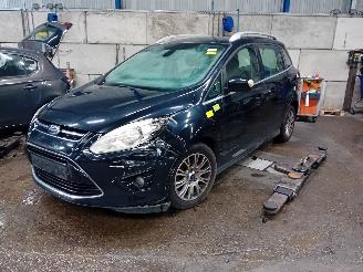 Vrakbiler auto Ford Grand C-Max Grand C-Max (DXA) MPV 1.6 EcoBoost 16V (JQDA(Euro 5)) [110kW]  (12-201=
0/06-2019) 2011/7