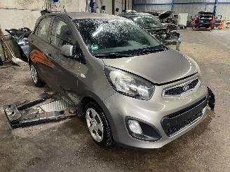 Kia Picanto Picanto (TA) Hatchback 1.0 12V (G3LA) [51kW]  (05-2011/06-2017) picture 2