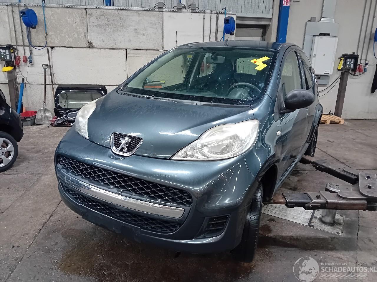 Peugeot 107 107 Hatchback 1.0 12V (384F(1KR)) [50kW]  (06-2005/05-2014)