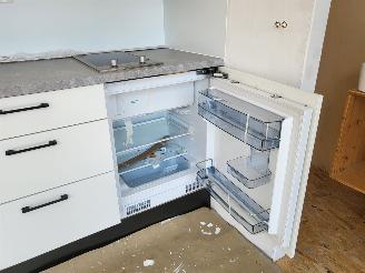 Overige  NIEUW TINY HOUSE  11 X 3 M INCL TRANSPORT BINNEN N.L picture 15