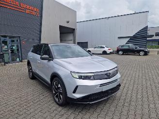 Opel Grandland 1.2 Turbo Hybrid Edition | Techpack picture 2