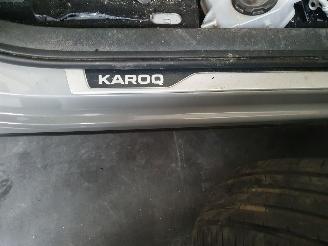 Skoda Karoq  picture 4