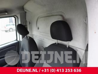 Fiat Doblo Doblo Cargo (263), Van, 2010 1.3 MJ 16V DPF Euro 5 picture 30