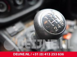 Fiat Doblo Doblo Cargo (263), Van, 2010 1.3 MJ 16V DPF Euro 5 picture 33