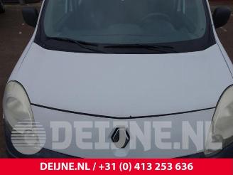 Renault Kangoo Kangoo Express (FW), Van, 2008 1.5 dCi 90 FAP picture 34