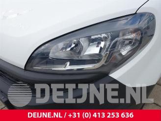 Fiat Doblo Doblo Cargo (263), Van, 2010 1.4 16V picture 33