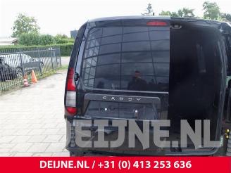 Volkswagen Caddy Caddy Cargo V (SBA/SBH), Van, 2020 2.0 TDI BlueMotionTechnology picture 33