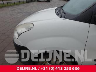 Fiat Doblo Doblo Cargo (263), Van, 2010 1.3 MJ 16V DPF Euro 5 picture 9