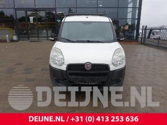 Fiat Doblo Doblo Cargo (263), Van, 2010 1.3 MJ 16V DPF Euro 5 picture 2