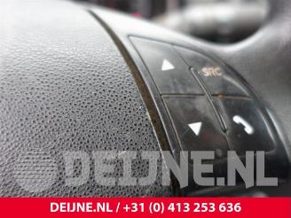 Fiat Doblo Doblo Cargo (263), Van, 2010 1.3 MJ 16V DPF Euro 5 picture 24