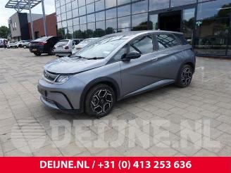 BYD Dolphin Dolphin, Hatchback 5-drs, 2021 60 kWh picture 3