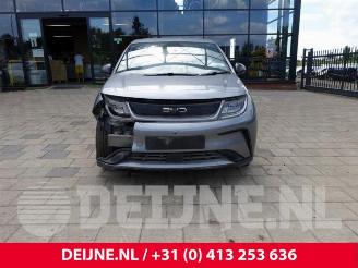 BYD Dolphin Dolphin, Hatchback 5-drs, 2021 60 kWh picture 2