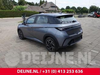 BYD Dolphin Dolphin, Hatchback 5-drs, 2021 60 kWh picture 5