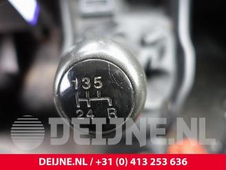 Fiat Doblo Doblo Cargo (263), Van, 2010 1.4 16V picture 32