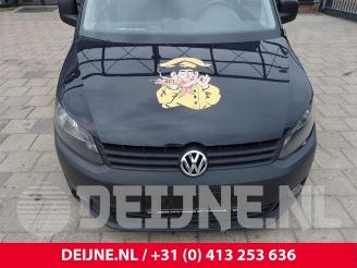 Volkswagen Caddy Caddy III (2KA,2KH,2CA,2CH), Van, 2004 / 2015 1.6 TDI 16V picture 34