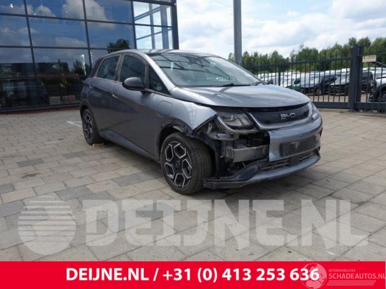 BYD Dolphin Dolphin, Hatchback 5-drs, 2021 60 kWh