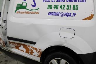 Renault Kangoo  picture 6