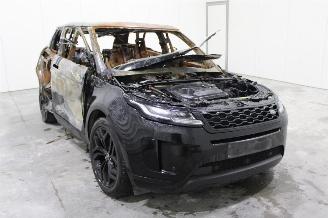 Land Rover Range Rover Evoque  picture 3