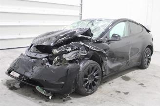 Tesla Model Y  picture 1