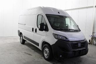 Fiat Ducato  picture 2