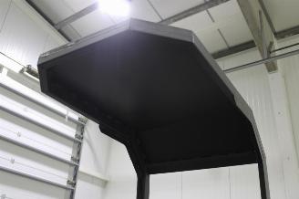 Rhinoceros XN11  picture 19