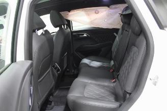 Borgward BX7 TS picture 11