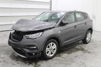 Sloopauto Opel Grandland X 2021/3