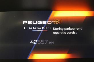 Peugeot 308  picture 14