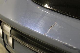 Ford Mustang  picture 22