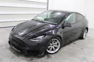 Coche accidentado Tesla Model Y  2023/11