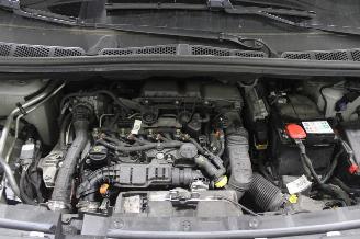 Citroën Berlingo  picture 15