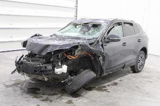 skadebil auto Volkswagen Tiguan  2024/12