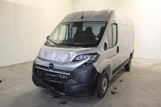 Damaged car Opel Movano  2025/9