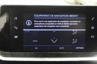 Peugeot 2008  picture 14