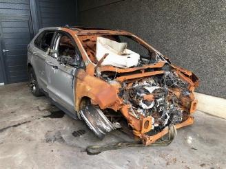 Ford Edge  picture 1