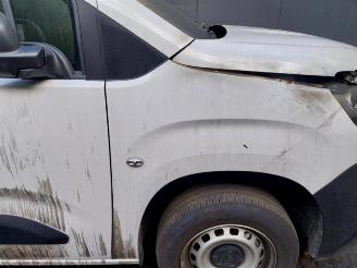 Citroën Berlingo Berlingo, Van, 2018 1.5 BlueHDi 100 picture 9