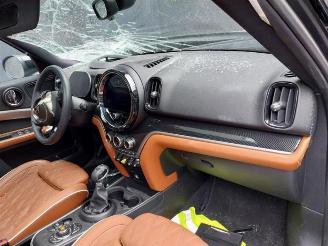 Mini Countryman Countryman (F60), SUV, 2016 1.5 TwinPower Turbo 12V Cooper SE ALL4 picture 15